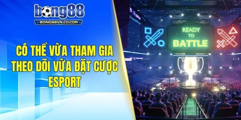 Có thể vừa tham gia theo dõi vừa đặt cược esport