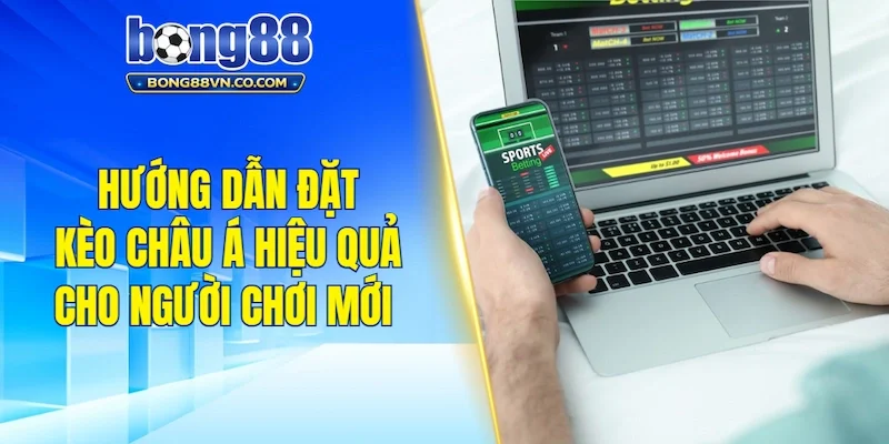 Hướng dẫn đặt kèo Châu Á hiệu quả cho người chơi mới
