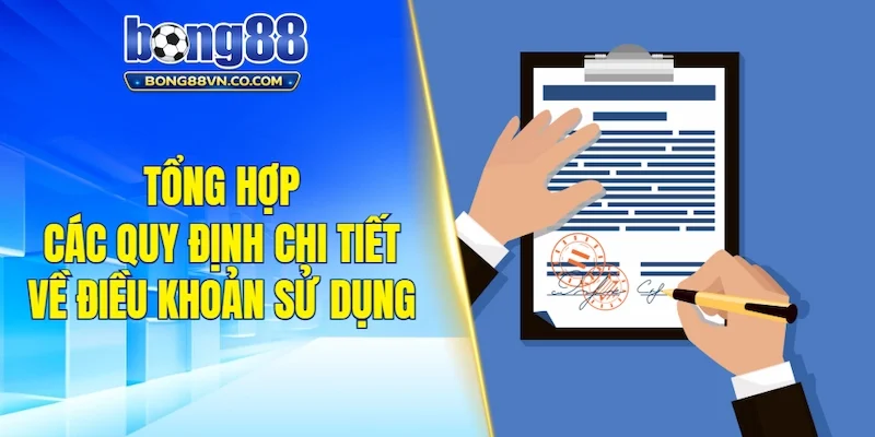 Tổng hợp các quy định chi tiết về điều khoản sử dụng